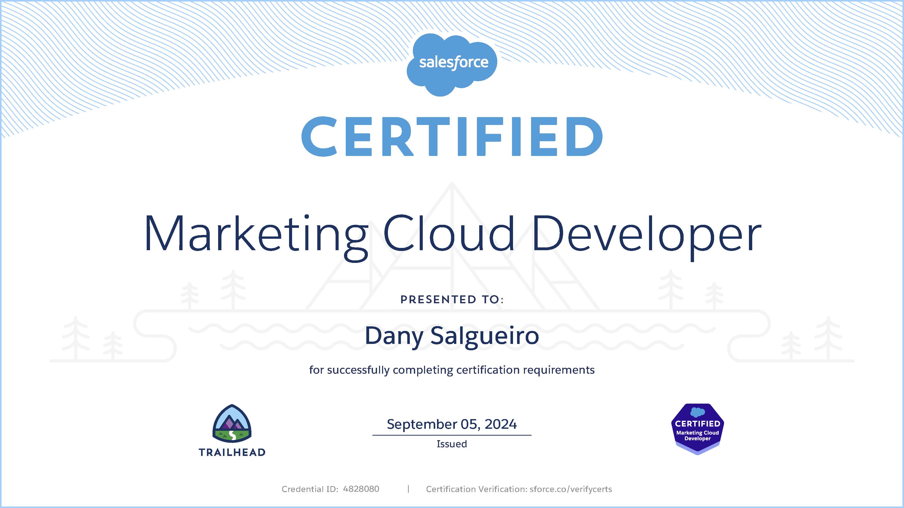 Salesforce Marketing Cloud Developer