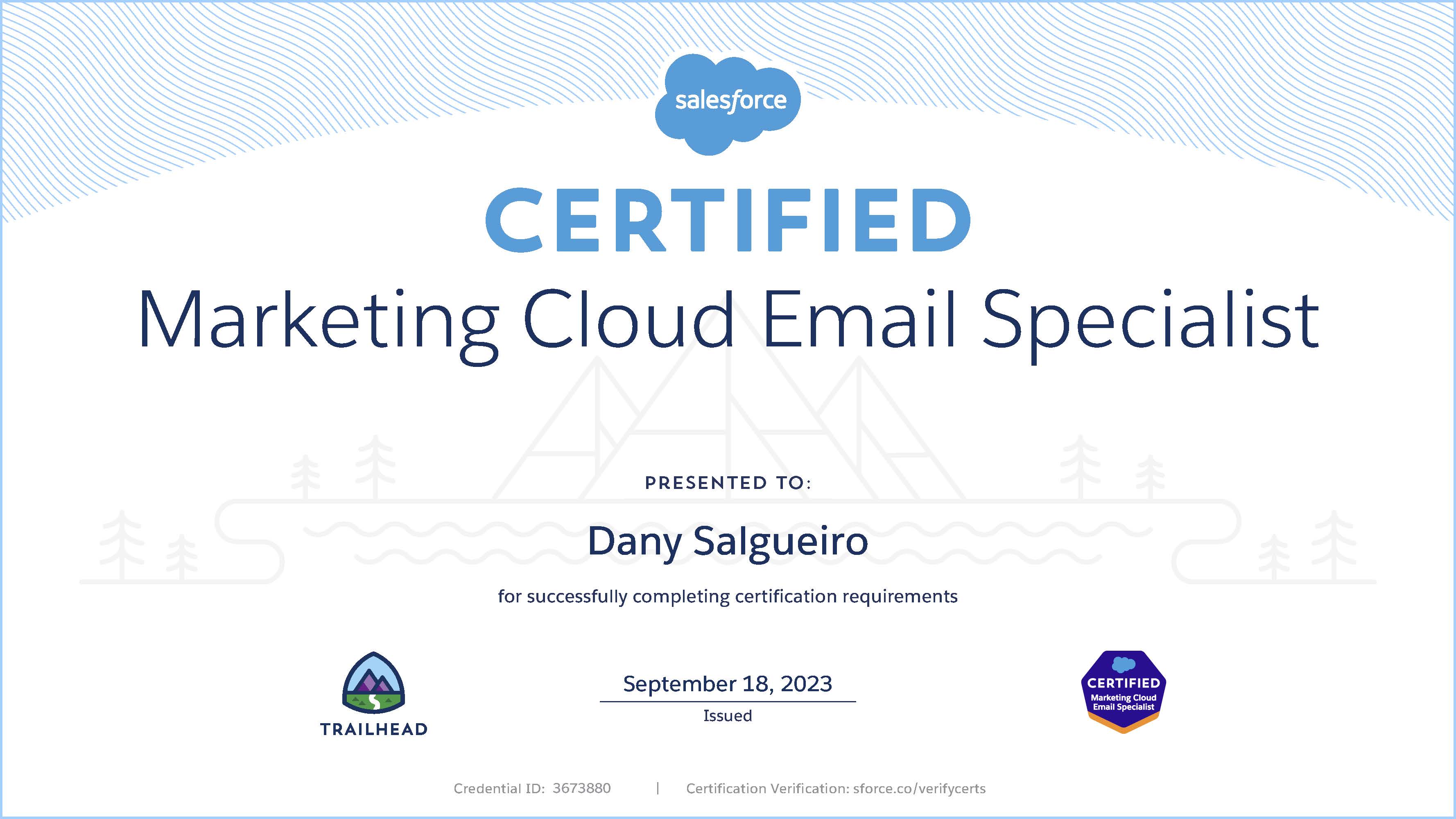 Salesforce Marketing Cloud Email Specialist