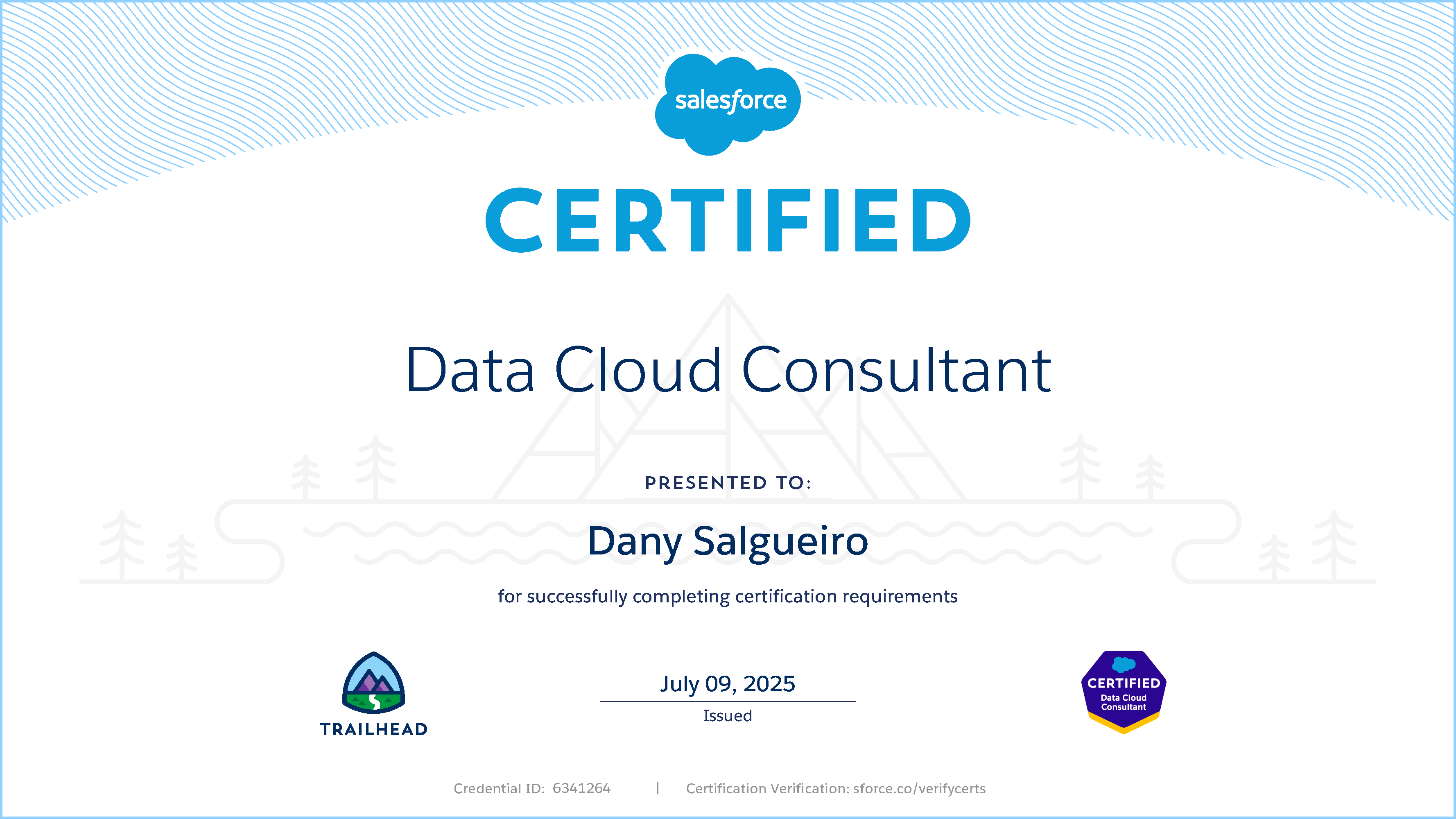 Salesforce Data Cloud Consultant